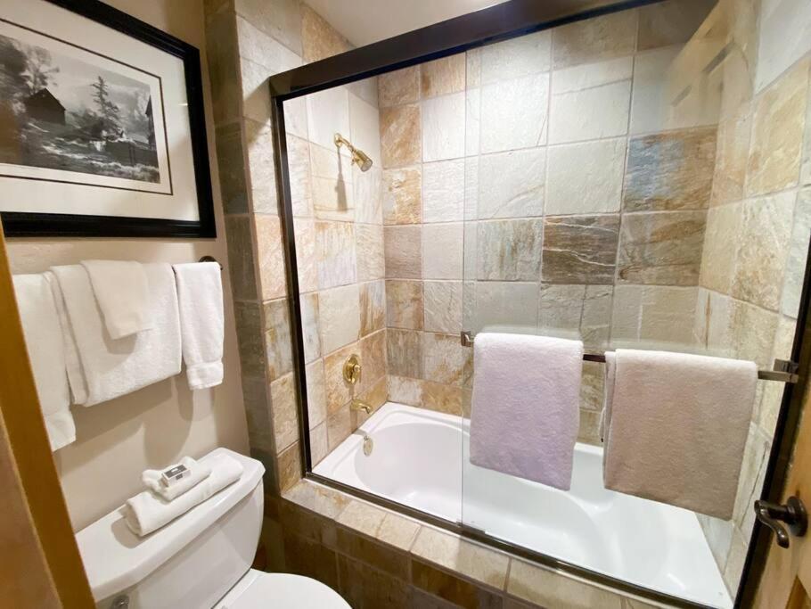 2 Bedroom Condominium - Luxury Skiin And Out Telluride Εξωτερικό φωτογραφία