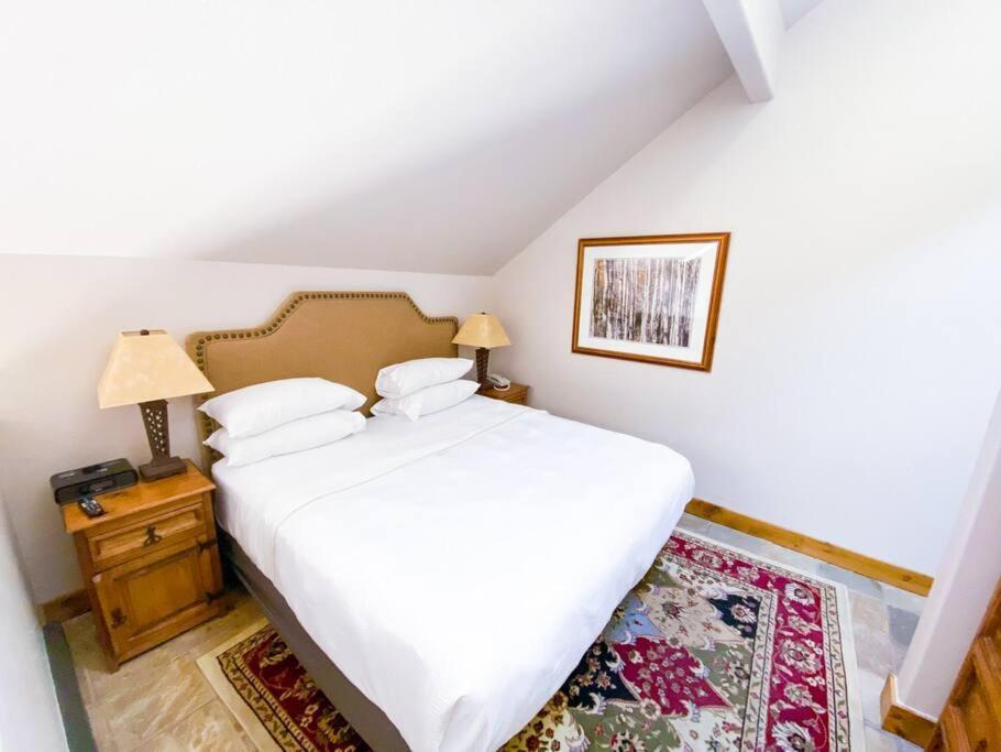2 Bedroom Condominium - Luxury Skiin And Out Telluride Εξωτερικό φωτογραφία